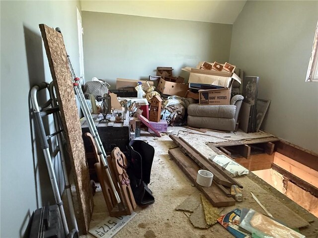 5296 E County Road 1100n, Mattoon, IL 61938 - misc room featuring vaulted ceiling