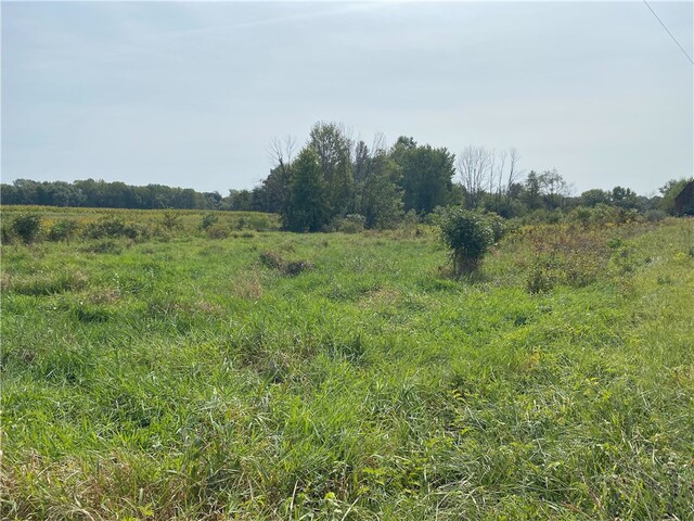 N 2550 Street, Dennison, IL 62423 - photo 5