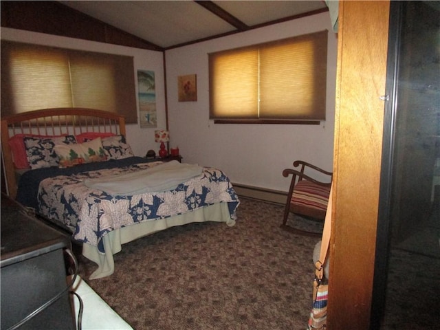 15 Oak Tree Ln, Pana, IL 62557 - carpeted bedroom featuring vaulted ceiling