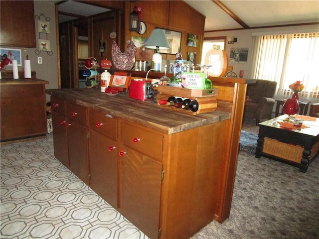 15 Oak Tree Ln, Pana, IL 62557 - kitchen featuring light carpet