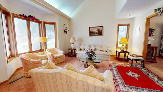 10 Lakeshore Ct, Danville, IL 61832 - carpeted living area with baseboards