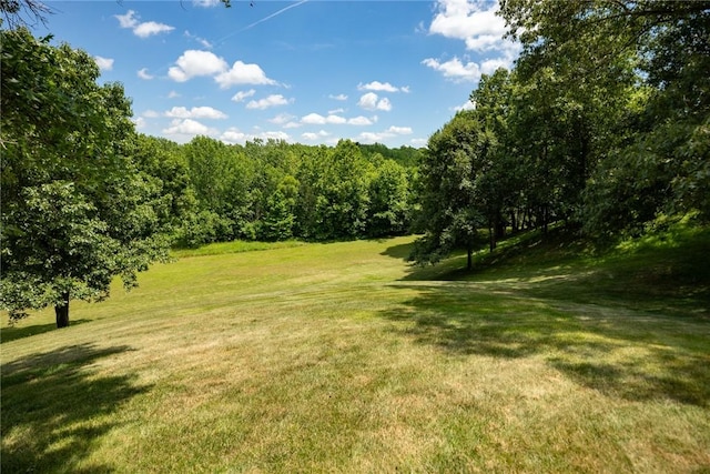 8434 Meadowview Rd, Effingham, IL 62401 - view of green lawn featuring a wooded view