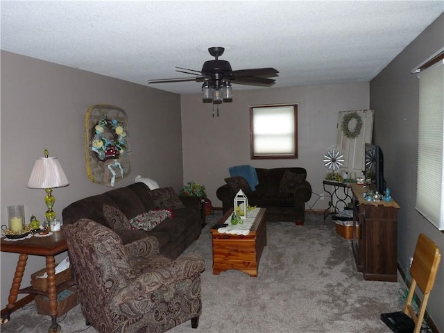 3535 Ferndale Ave, Danville, IL 61834 - carpeted living area featuring a ceiling fan and a textured ceiling