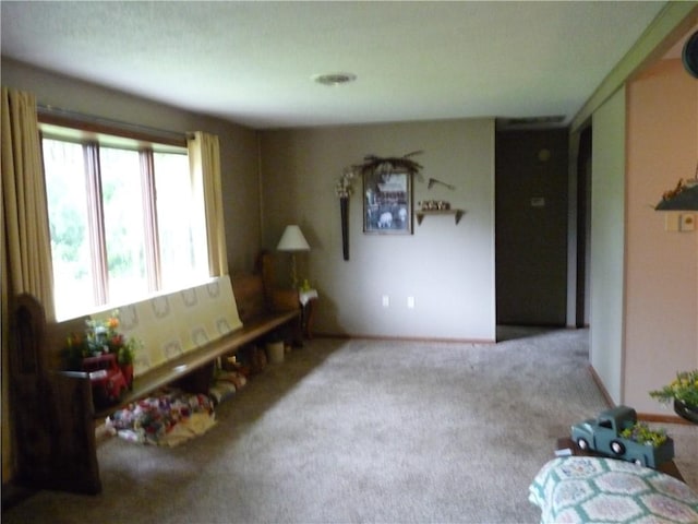 3535 Ferndale Ave, Danville, IL 61834 - living room with carpet