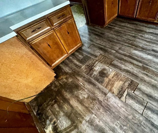 316 Plum St, Danville, IL 61832 - detailed view of dark wood-style floors