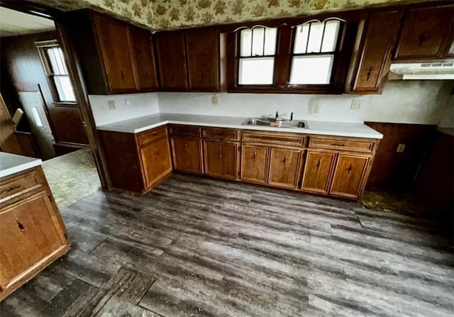 316 Plum St, Danville, IL 61832 - kitchen featuring dark wood finished floors, under cabinet range hood, and light countertops