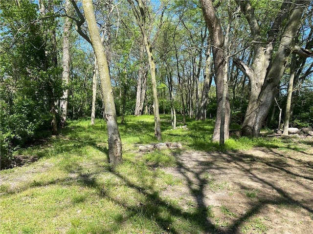 3095 Preston St, Paris, IL 61944 - photo 10
