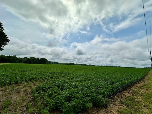 N 1625th St, Paris, IL 61944 - photo 3