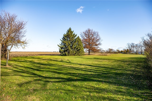 view of yard with a rural view