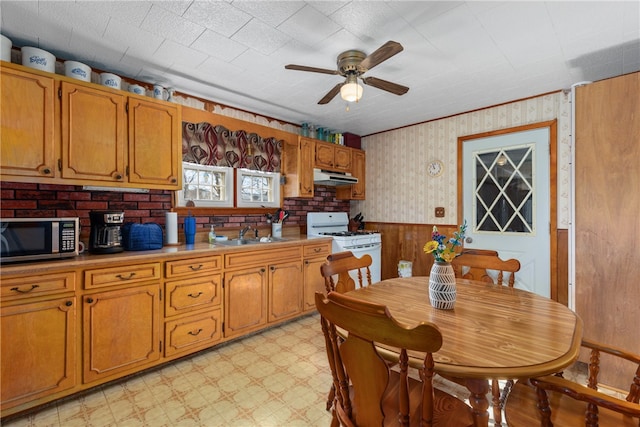 kitchen featuring wood walls, ceiling fan, white gas stove, and sink