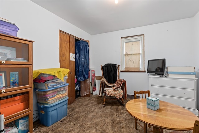 sitting room with dark colored carpet