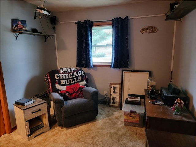 505 W N 9th St, Shelbyville, IL 62565 - living area featuring light colored carpet