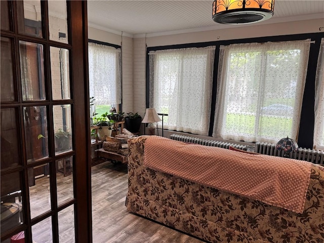 1007 10th St, Charleston, IL 61920 - view of sunroom / solarium