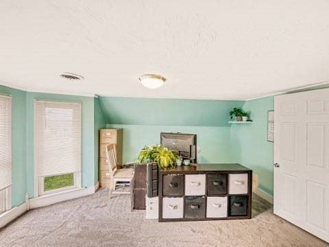 525 N 7th St, Charleston, IL 61920 - bonus room featuring carpet flooring