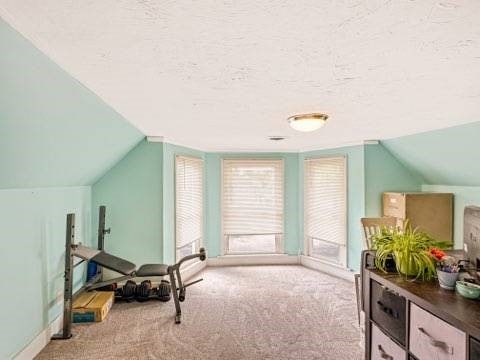 525 N 7th St, Charleston, IL 61920 - bonus room with carpet, vaulted ceiling, and a textured ceiling