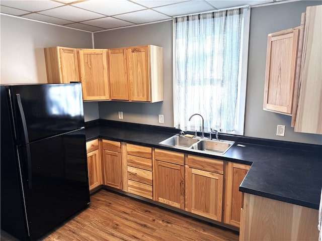 kitchen featuring wood finished floors, dark countertops, a sink, and freestanding refrigerator