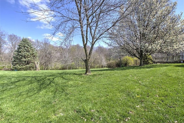 1147 E 2800 N Rd, Mount Auburn, IL 62547 - photo 44
