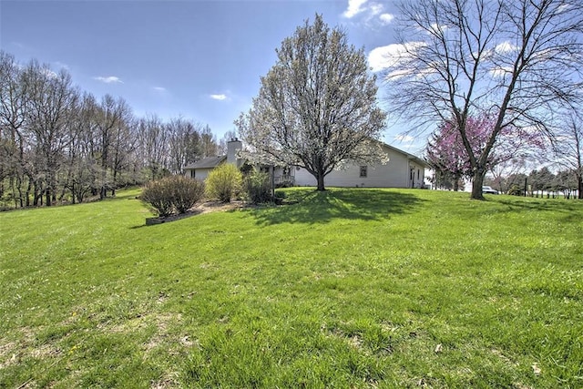 1147 E 2800 N Rd, Mount Auburn, IL 62547 - photo 38