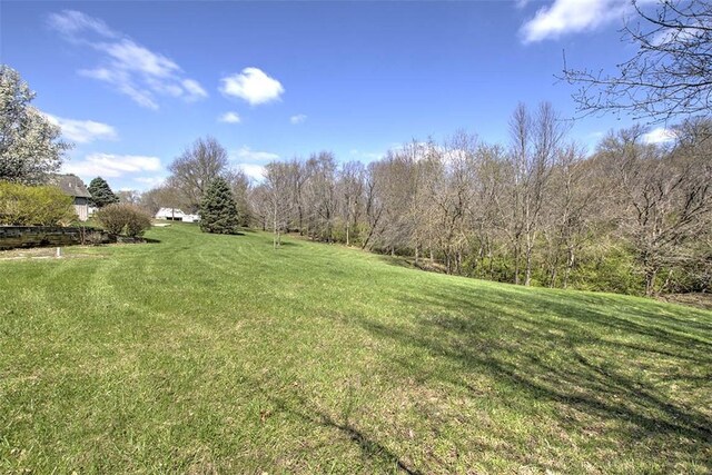 1147 E 2800 N Rd, Mount Auburn, IL 62547 - photo 43