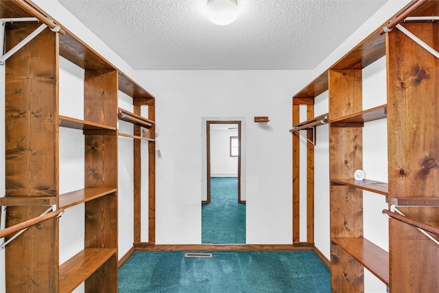 walk in closet featuring carpet flooring