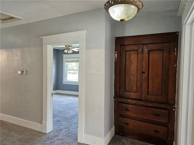 301 S Meridian St, Toledo, IL 62468 - hall with carpet flooring and baseboards