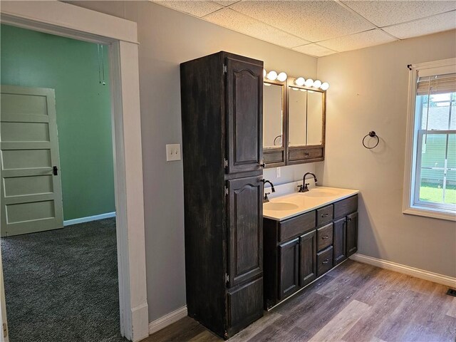301 S Meridian St, Toledo, IL 62468 - full bath featuring a drop ceiling, double vanity, and wood finished floors