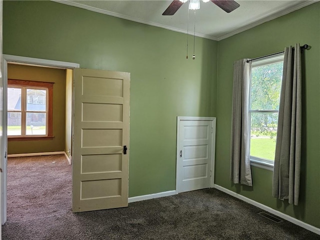301 S Meridian St, Toledo, IL 62468 - empty room with dark carpet, healthy amount of natural light, a ceiling fan, and ornamental molding