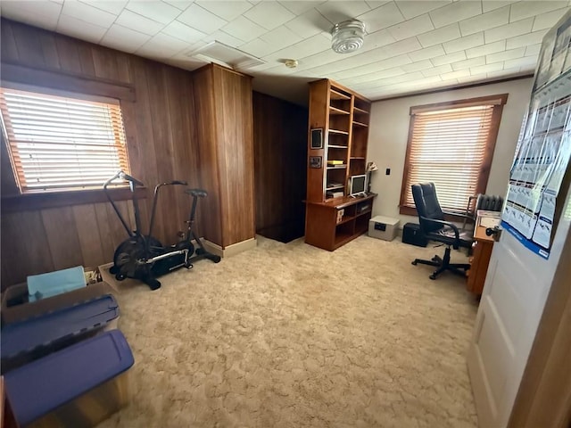 27288 State Highway 16, Ashmore, IL 61912 - office area featuring wooden walls and light carpet