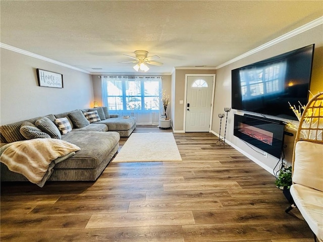 living room with a textured ceiling, ornamental molding, and wood finished floors