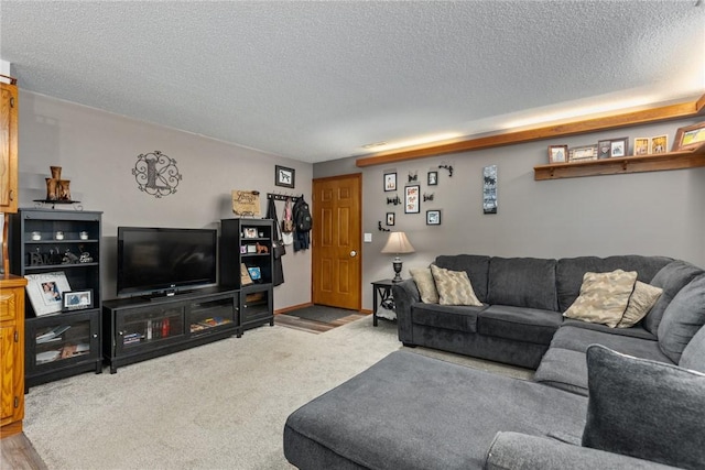 18058 E 1545th Ave, Teutopolis, IL 62467 - living area with a textured ceiling and carpet
