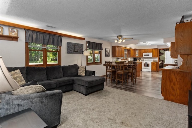 18058 E 1545th Ave, Teutopolis, IL 62467 - living room featuring a textured ceiling, ceiling fan, wood finished floors, and carpet