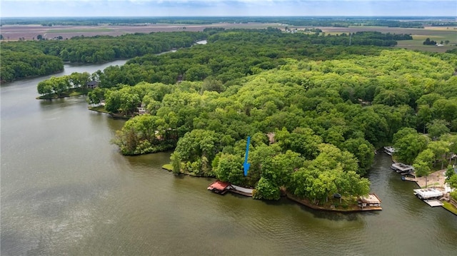 14915 N 8th Ave, Effingham, IL 62401 - aerial view of a large body of water and a forest