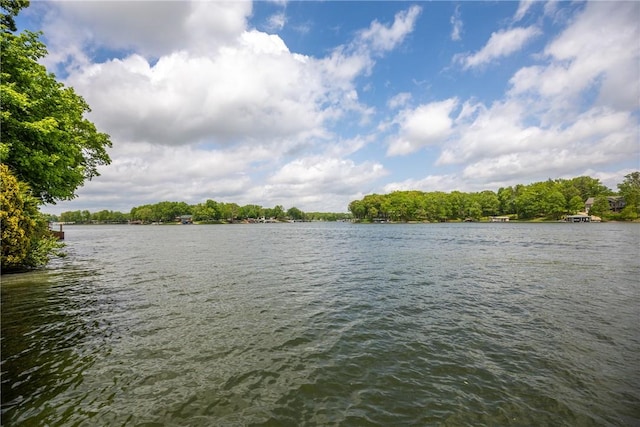 14915 N 8th Ave, Effingham, IL 62401 - water view