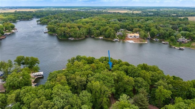 14915 N 8th Ave, Effingham, IL 62401 - aerial view of a large body of water and a forest