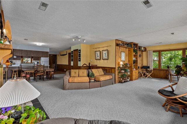 14915 N 8th Ave, Effingham, IL 62401 - carpeted living room with a wainscoted wall, wooden walls, and a textured ceiling