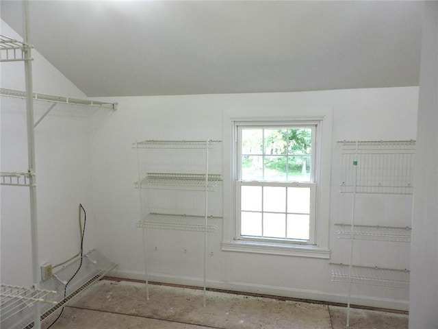 37626 Hunnington Ridge Rd, Hoopeston, IL 60942 - spacious closet with vaulted ceiling