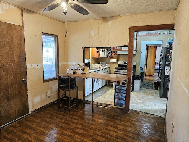 office space with ceiling fan and hardwood / wood-style floors