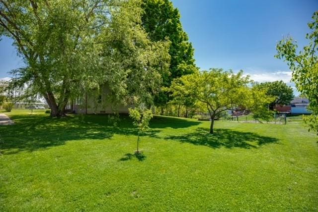 view of home's community with a lawn