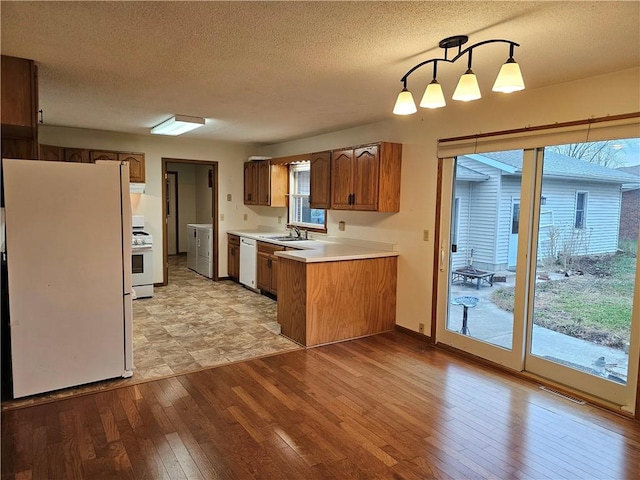 kitchen with a healthy amount of sunlight, white appliances, and light hardwood / wood-style flooring