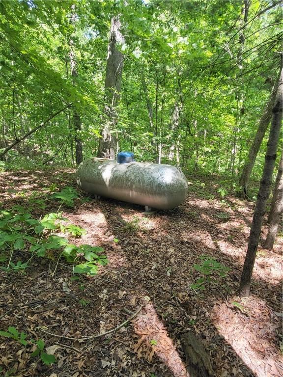 3848 Cahokia Ln, Charleston, IL 61920 - exterior view of propane tank and a forest