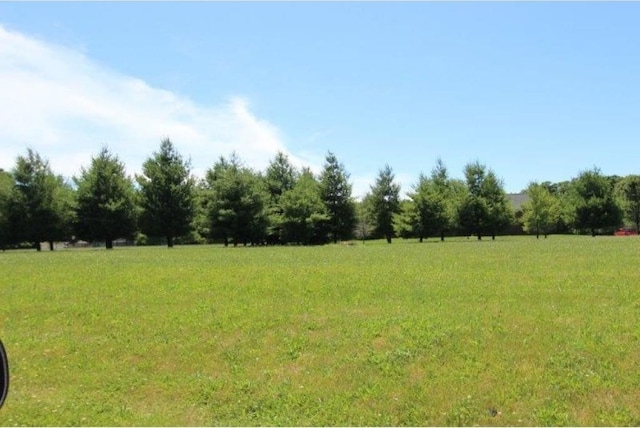 LOT30 Forest View Dr, Charleston IL, 61920 land for sale