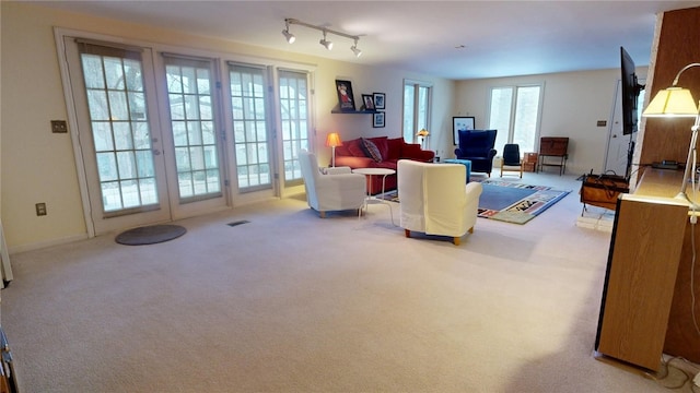 carpeted living room featuring rail lighting