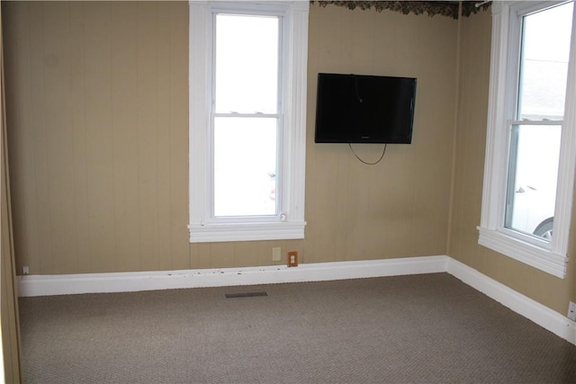 spare room with plenty of natural light and carpet flooring