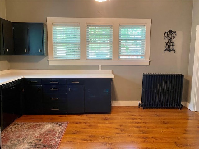 401 E Fourth St, Pana, IL 62557 - kitchen with radiator, plenty of natural light, and light wood-style flooring