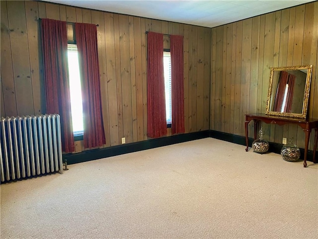 401 E Fourth St, Pana, IL 62557 - carpeted spare room with radiator heating unit and wood walls