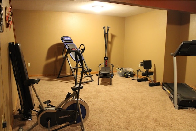 workout area featuring carpet flooring