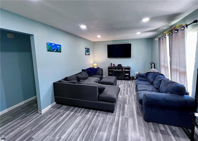 100 Chaparral St, Watson, IL 62473 - living room featuring wood finished floors and recessed lighting