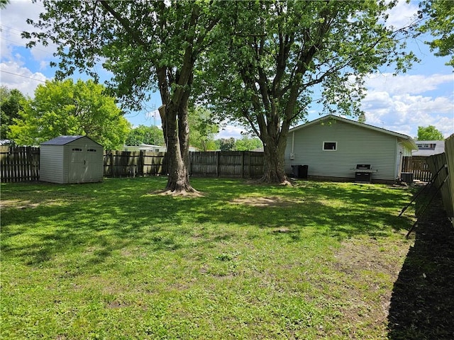 201 N Indiana St, Toledo, IL 62468 - view of yard