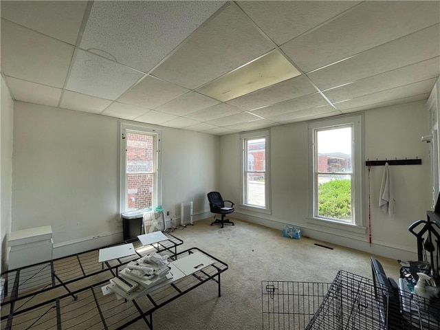 303 6th St, Charleston, IL 61920 - miscellaneous room featuring radiator heating unit, carpet flooring, and a drop ceiling