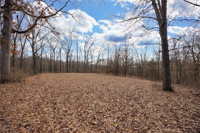 view of local wilderness